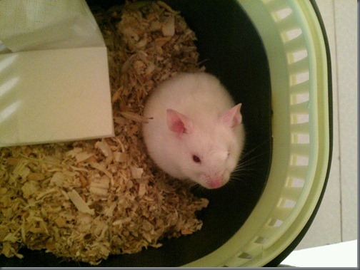 13395330645171 13395330645171