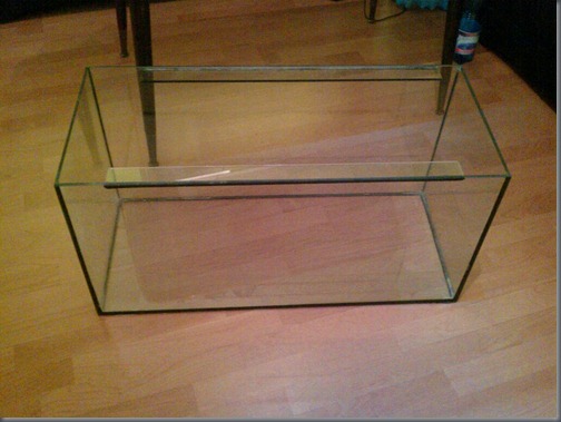 13395330681746 13395330681746