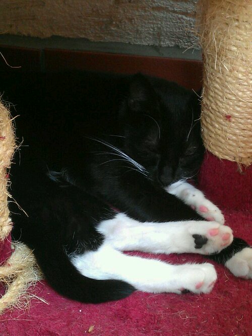 13433958299260.jpg image