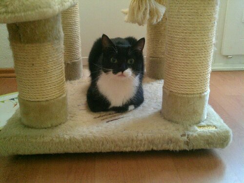 13471776197090.jpg image