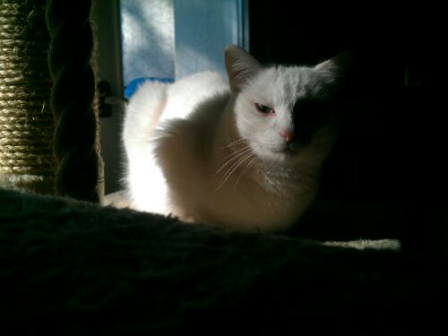 13471776203971.jpg image