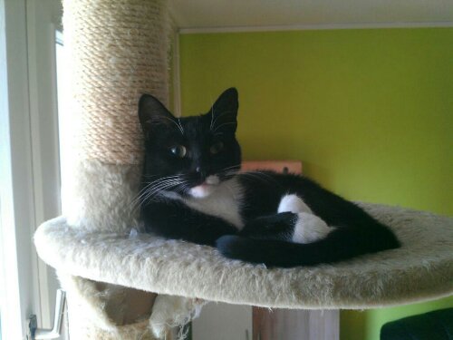 13471776210512.jpg image