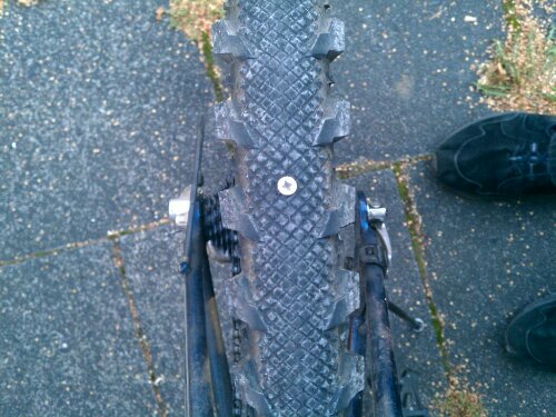 13480822734244.jpg image