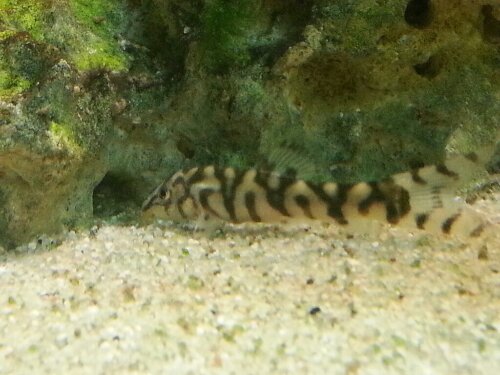 13704586634360.jpg image