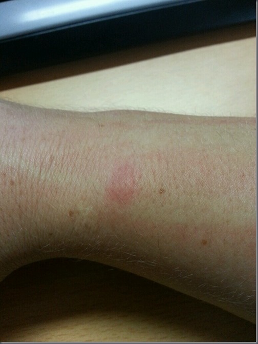 Photo 2 (1) Photo 2 (1)