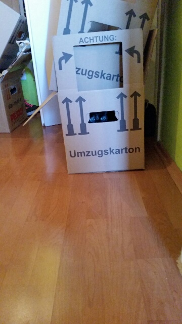 14197985407811.jpg image