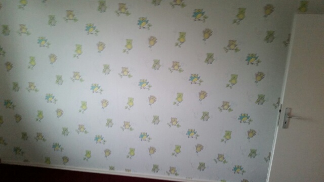 14200336656170.jpg image