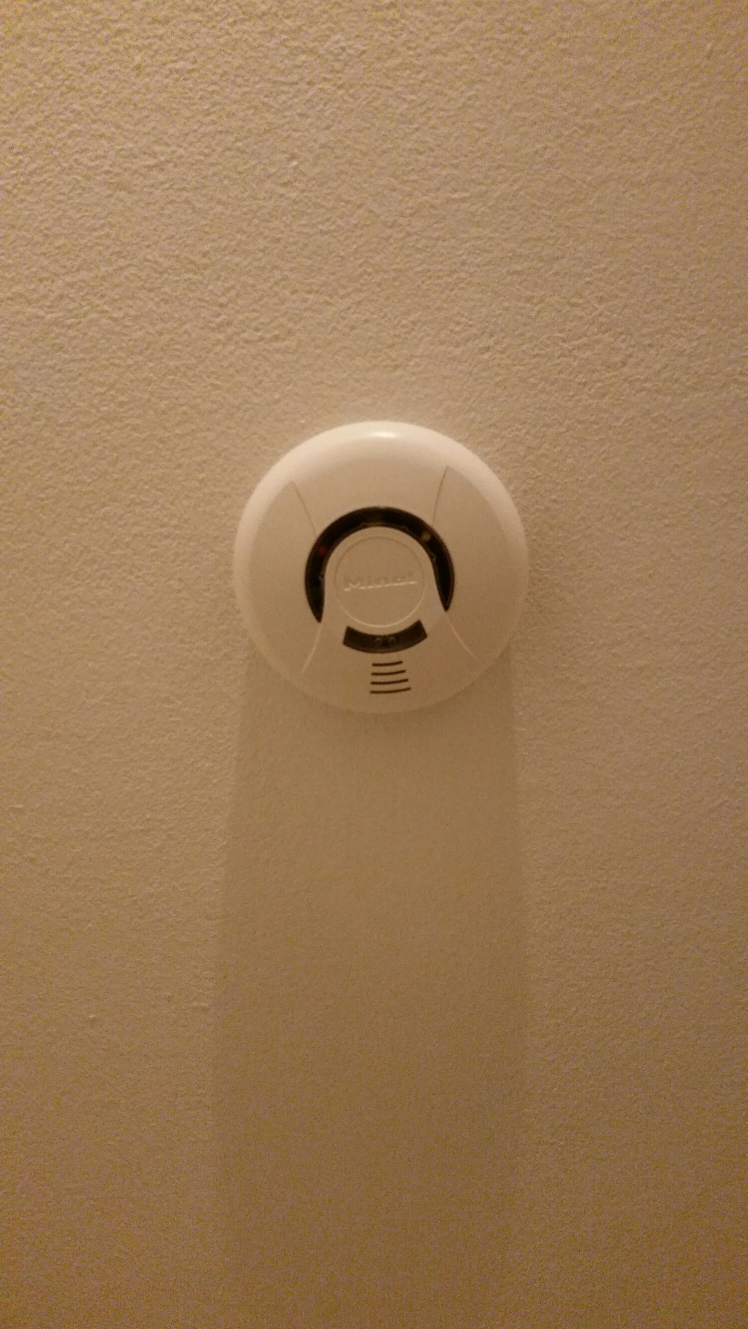 wp-1447705001843 image